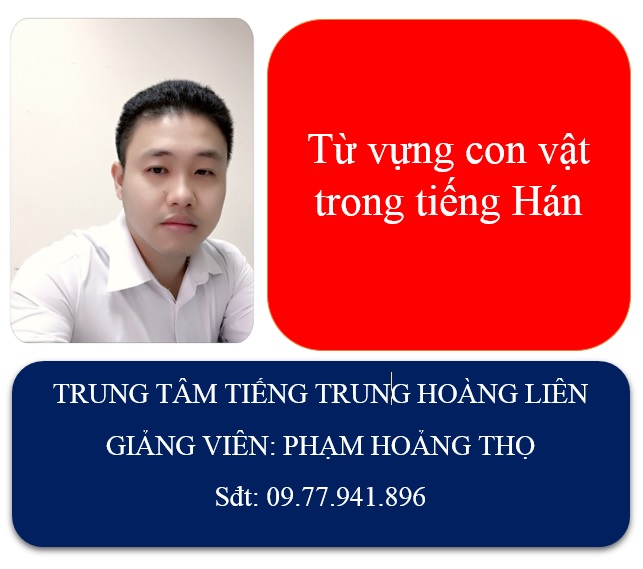 Tự học tiếng Trung - Từ vựng các con vật