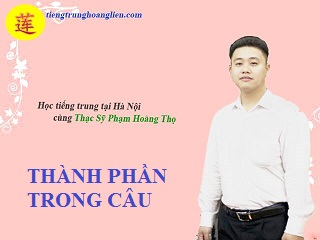 Thành phần trong câu tiếng trung!