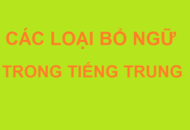 BỔ NGỮ THỜI LƯỢNG