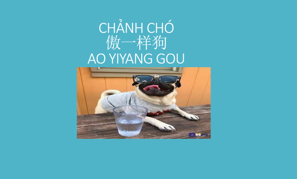 PHÂN BIỆT CÁCH DÙNG 特别, 尤其