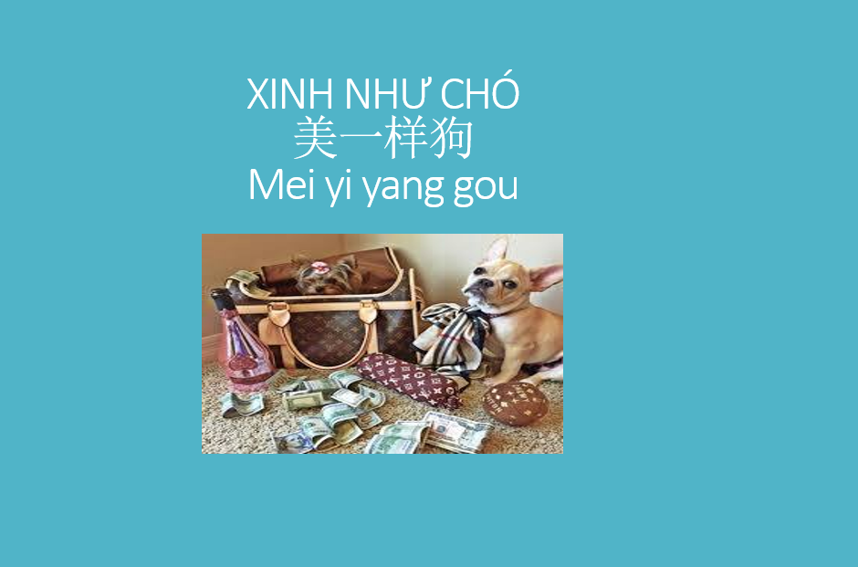 CÂU VỊ NGỮ CHỦ VỊ